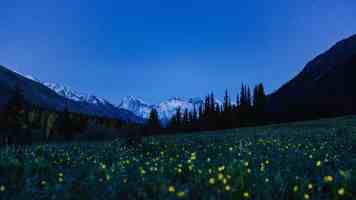 什么牌子的胶原蛋白肽好又安全？官方认可胶原蛋白肽排行榜前十名！榜首无添加更放心！