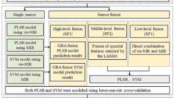 上海市全体会议审议2026年《工作报告》和“十五五”规划《纲要》