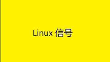 少年儿童心向党 牵手护航伴成长｜荆州市各级妇联开展暑期关爱行动 筑牢儿童成长“安全网”