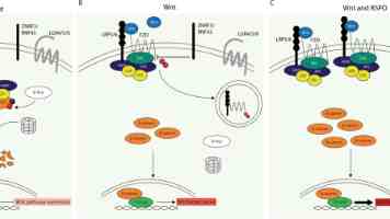共创热“雪”时刻！济南市首届冰雪消费季短视频创作大赛火热启动