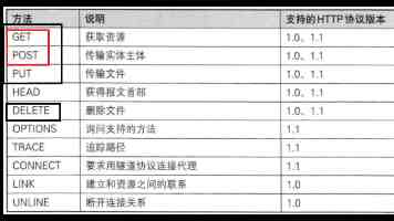 张宜红：在推进长江经济带高质量发展上善作善成