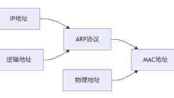 赛后约起！阿文，小曲曲喊你解锁快乐啦~